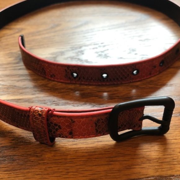 Bottega Veneta NWOT Python Skinny Belt main image 7